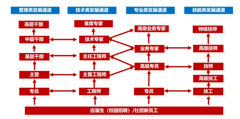 BV伟德国际(中国区)官方网站-BETVLCTOR SPORTS