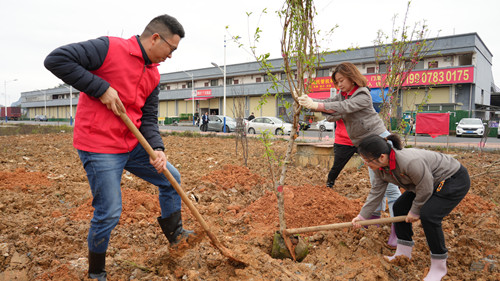 BV伟德国际(中国区)官方网站-BETVLCTOR SPORTS