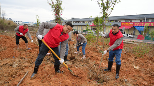 BV伟德国际(中国区)官方网站-BETVLCTOR SPORTS