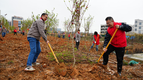 BV伟德国际(中国区)官方网站-BETVLCTOR SPORTS