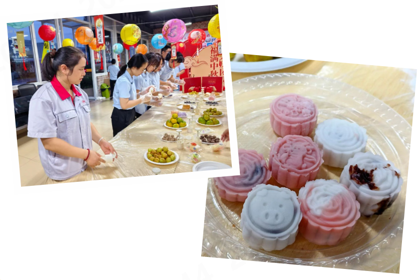 BV伟德国际(中国区)官方网站-BETVLCTOR SPORTS